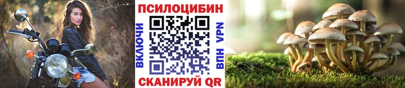мега ССЫЛКА  Пущино  Псилоцибиновые грибы мухоморы  хочу  
