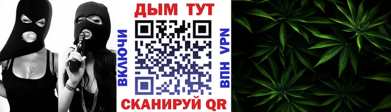 кракен зеркало Пущино Конопля OG Kush закладка